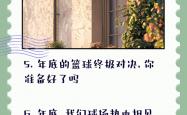 开云体育下载-球场之上，篮球热潮不断升级