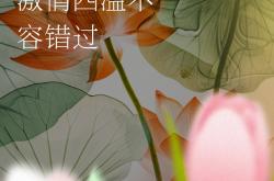 开云体育官网-足球界广受欢迎赛事不容错过的简单介绍