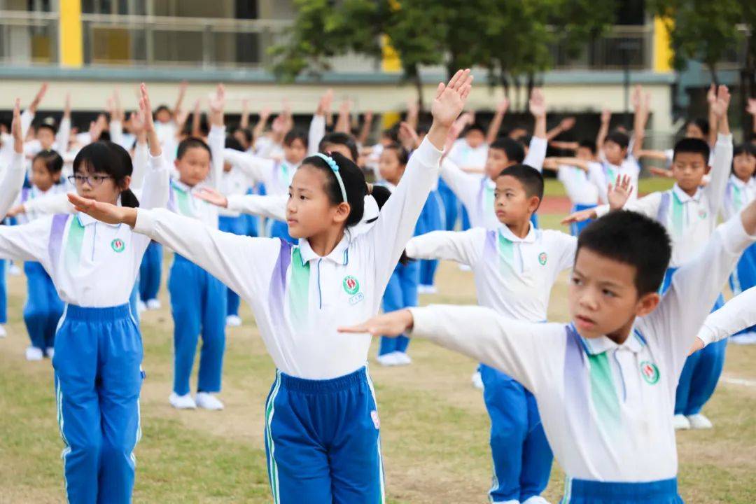 体操比赛队员团结拼搏，共享荣耀的简单介绍