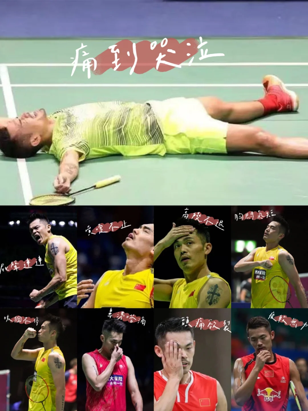 马来西亚羽毛球队血洗法国羽毛球队，林丹制霸全场的简单介绍