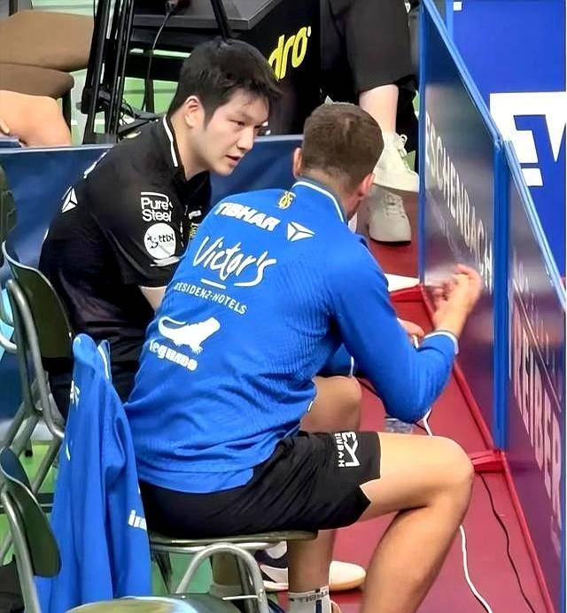 包含比利时乒乓球队碾压韩国乒乓球队,樊振东统治全场的词条 包含比利时乒乓球队碾压韩国乒乓球队,樊振东统治全场的词条