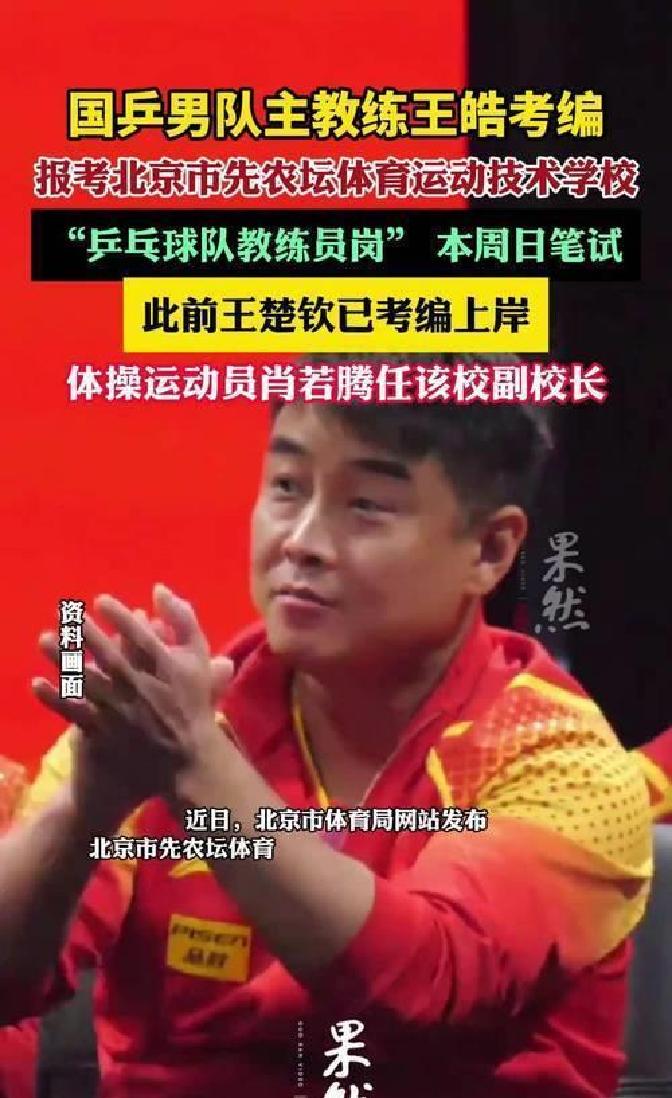 瑞典乒乓球队翻盘韩国乒乓球队，王皓送出助攻的简单介绍