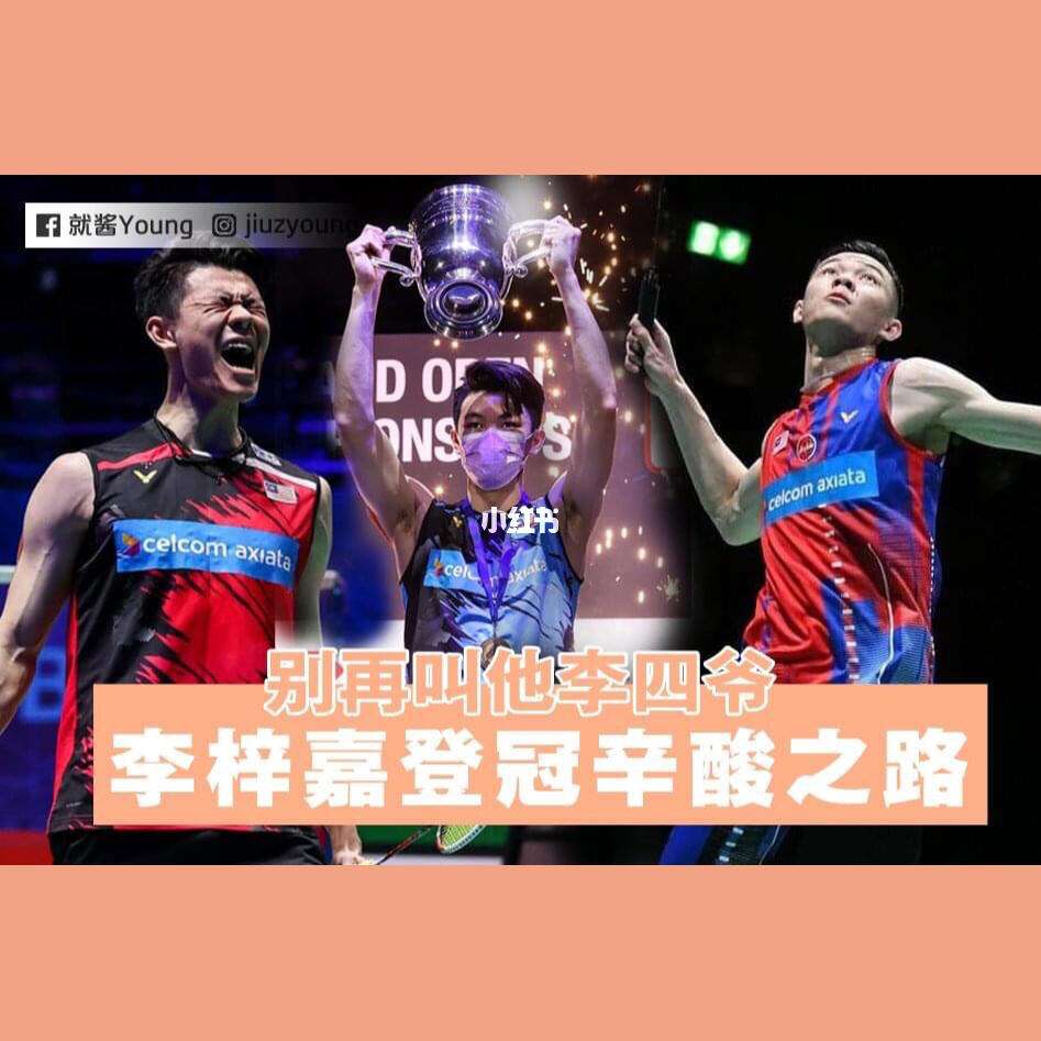 法国队翻盘丹麦队，李梓嘉刷新纪录